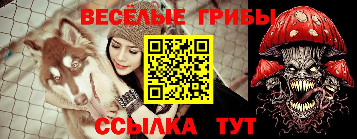 Псилоцибиновые грибы мухоморы Белореченск