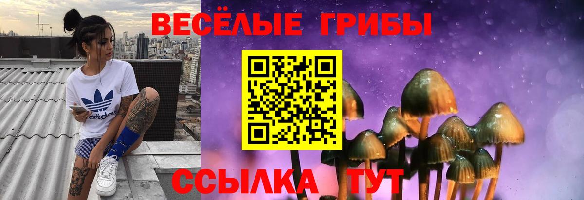 Псилоцибиновые грибы мухоморы  Вход с VPN  Белореченск 