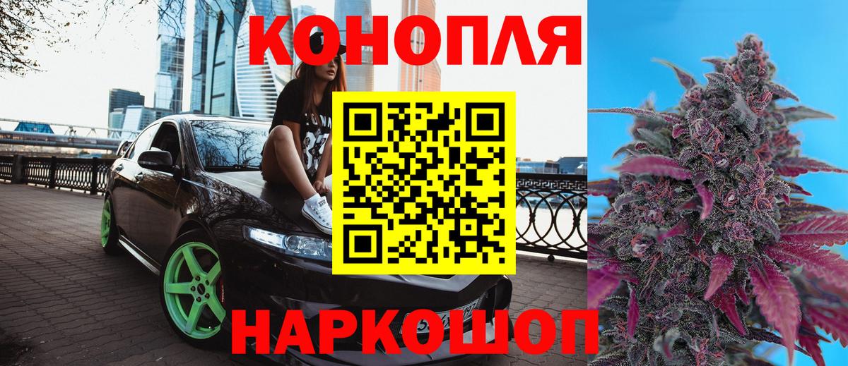 Шишки марихуана план Белореченск